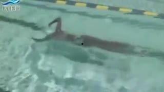 成人女性蛙泳视频教程