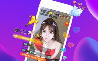 成人圣诞围巾直播视频,成人圣诞围巾潮流风尚，温暖冬日时尚指南