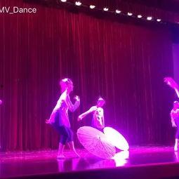 泰州成人舞蹈中国舞视频,中国舞韵律之美赏析