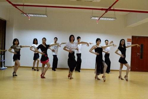 新天乐成人舞蹈视频,轻松入门，舞动身心新体验