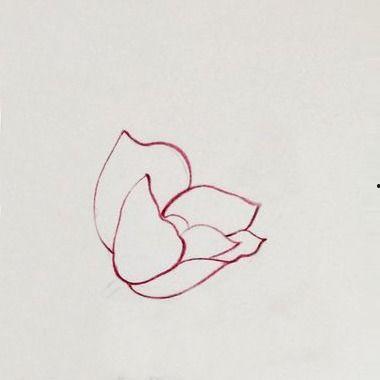 成人涂画填色技巧视频,轻松入门与提升指南