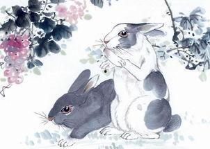 成人撕贴画兔子视频