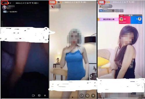 成人该看的视频软