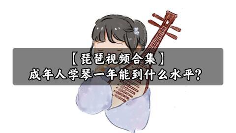 琵琶成人很难学吗视频,揭秘入门难易之谜