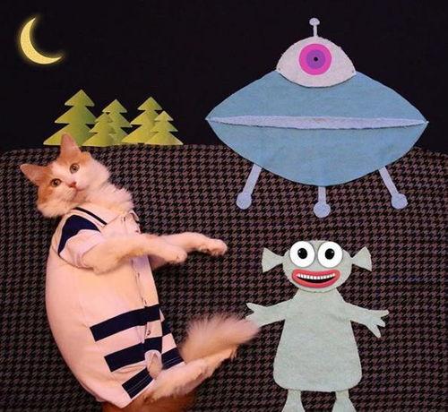 猫变成人的照片动画视频